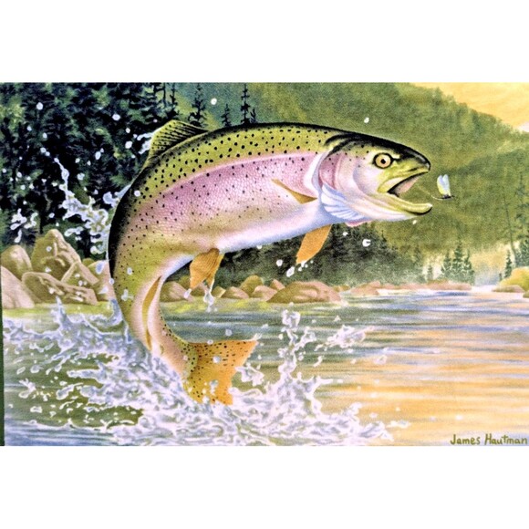 James Hautman 2005 Sewing Panel Fly Fishing Rainbow Trout Fleece 62" x 48" Craft - Picture 3 of 6